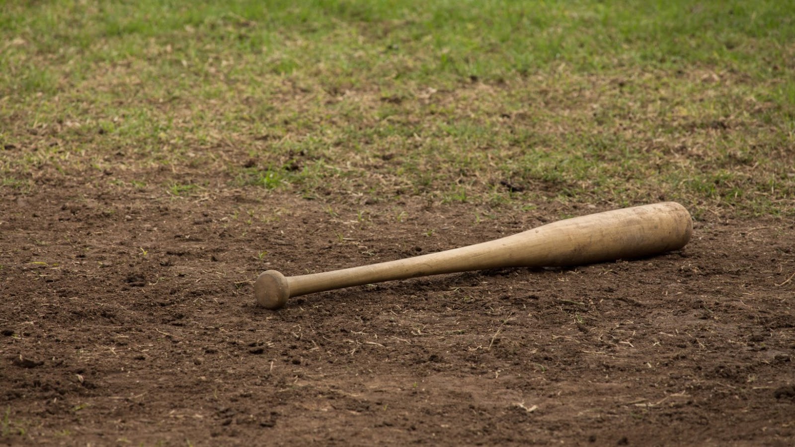 Importance Of Measuring Your Baseball Bat